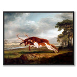 Hound Coursing a Stag som konstposter från Historly – helbild utan vit kant