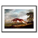 Hound Coursing a Stag som konstposter från Historly – med vit kant utan titel