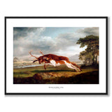 Hound Coursing a Stag som konstposter från Historly – med vit kant och titel