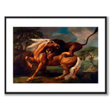 Lion Attacking a Horse as an art poster from Historly – with white border without title