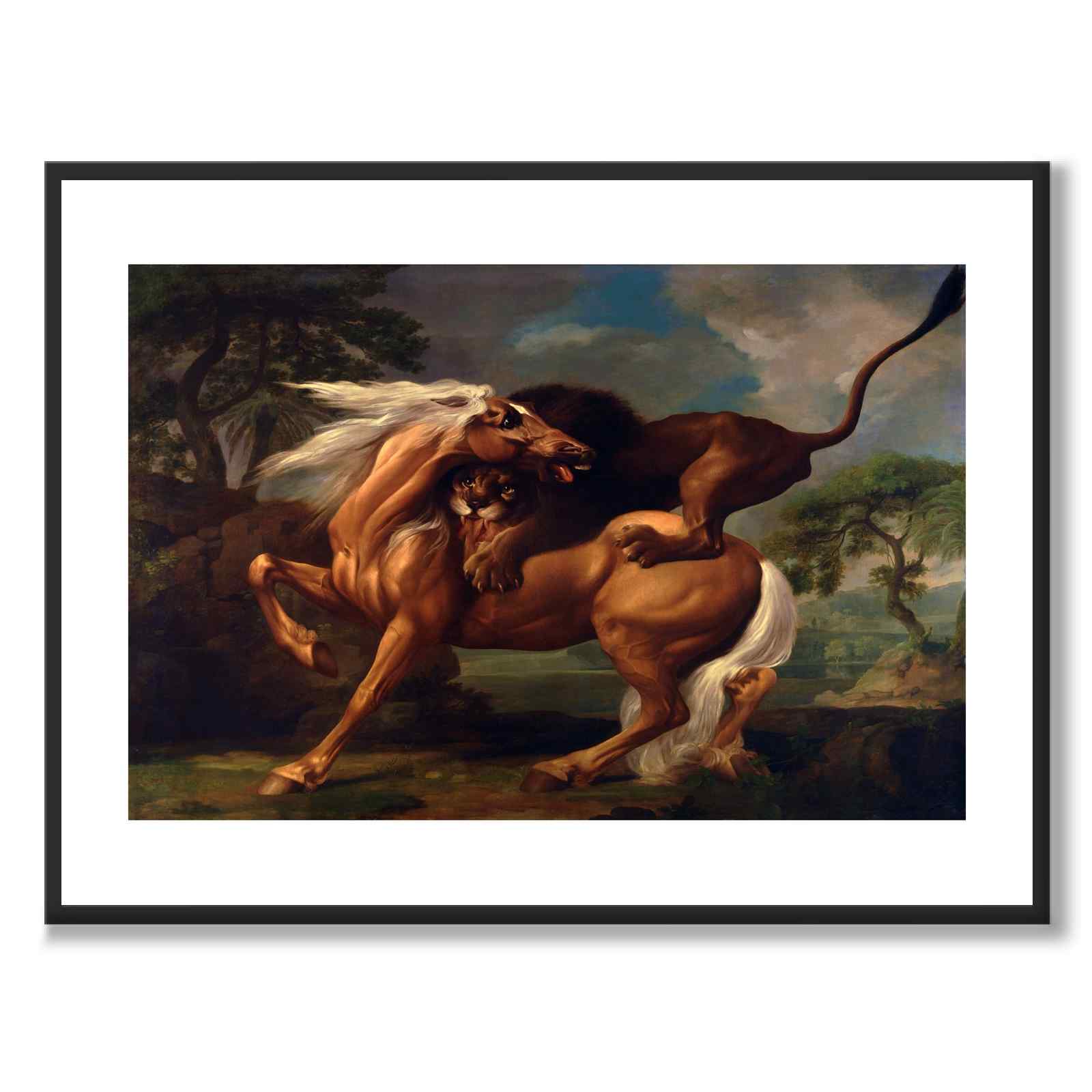 Lion Attacking a Horse as an art poster from Historly – with white border without title