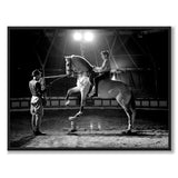 Circus Schumann as a historic photograph and poster from Historly – full image without white border
