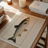 Salmon - Bloch as wall art in an inspiring interior setting