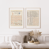 Nautical as a vintage illustration and poster from Historly – image 2