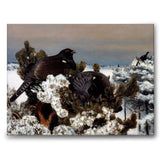 Capercaillies in a Winter Landscape av Bruno Liljefors som canvastavla från Historly – bild 1