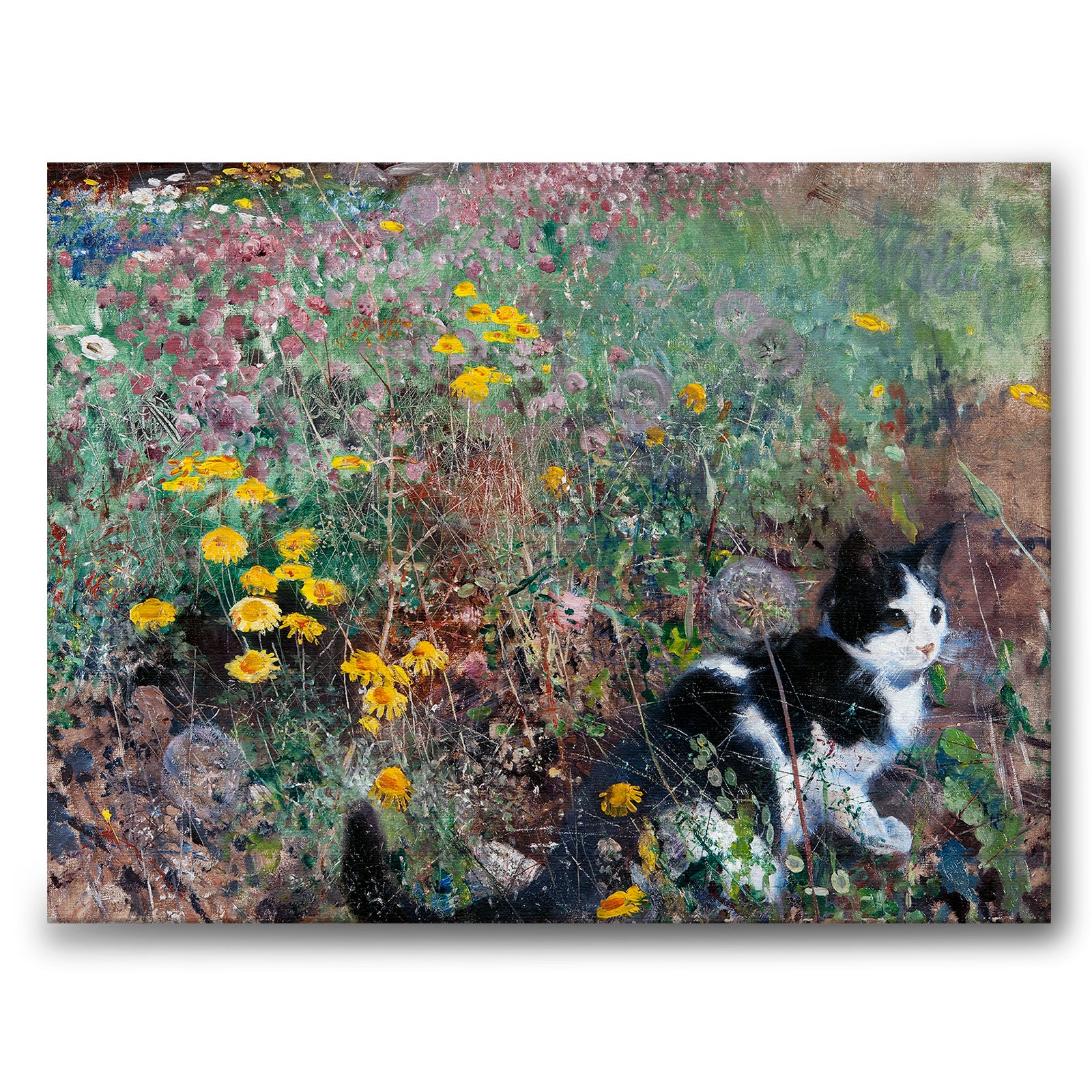 Cat on a Flowery Meadow av Bruno Liljefors som canvastavla från Historly – bild 1