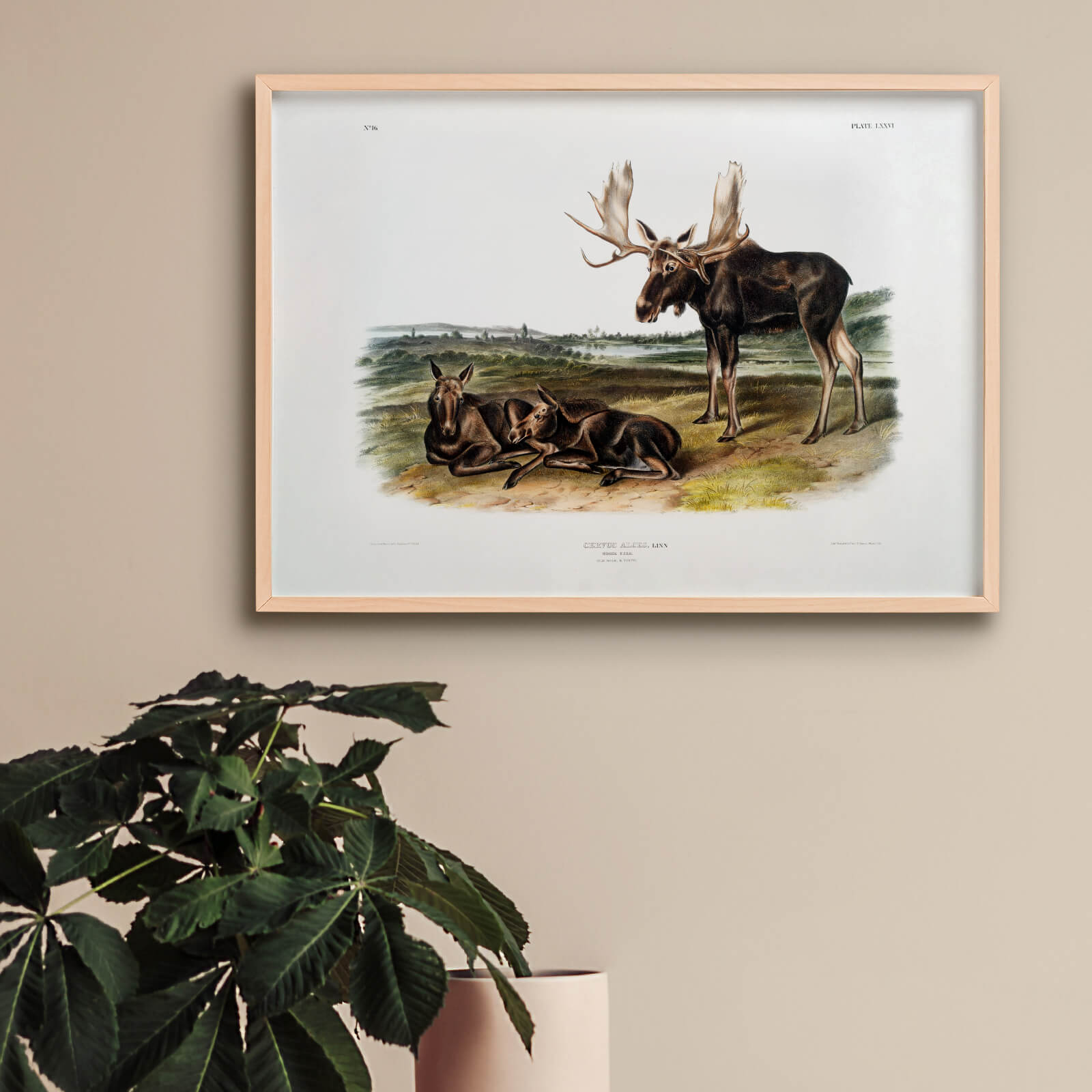 Moose som väggkonst i inspirerande inredningsmiljö