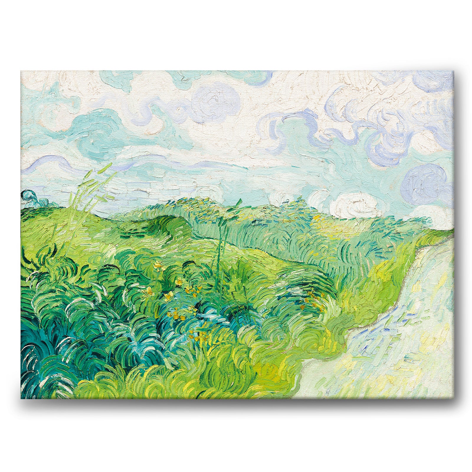 Green Wheat Fields, Auvers as a canvas print from Historly – image 1