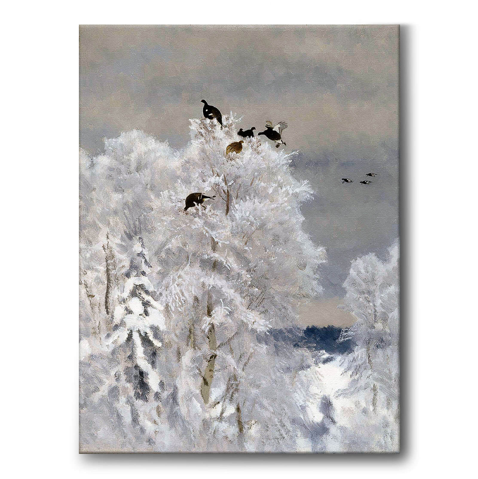 Black Grouse in a Treetop av Bruno Liljefors som canvastavla från Historly – bild 1