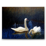 Swans in Reeds av Bruno Liljefors som canvastavla från Historly – bild 1