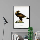 Golden Eagle som väggkonst i inspirerande inredningsmiljö