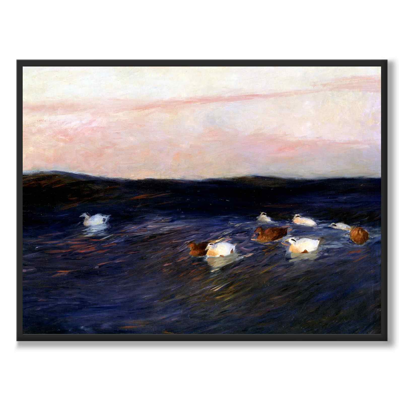 Eider Ducks av Bruno Liljefors som konstposter från Historly – helbild utan vit kant
