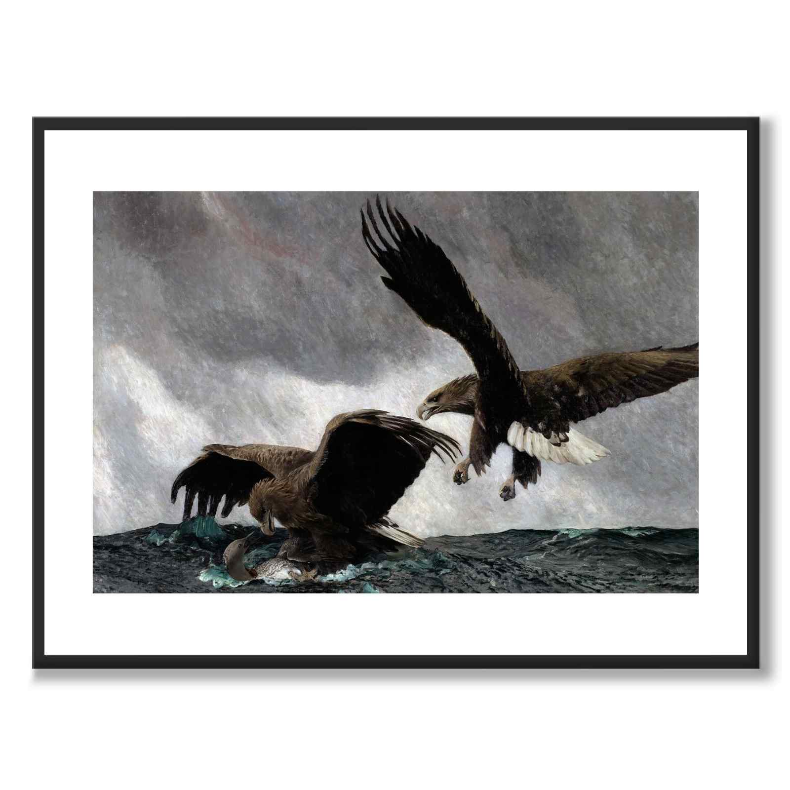 Sea Eagles av Bruno Liljefors som konstposter från Historly – med vit kant utan titel