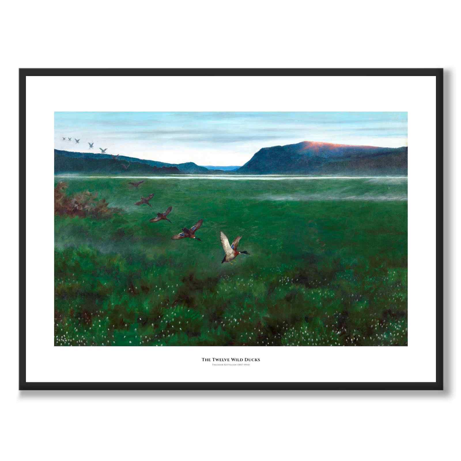 The Twelve Wild Ducks som konstposter från Historly – med vit kant och titel