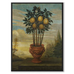 Orange Tree in an Urn as an art poster from Historly – full image without white border