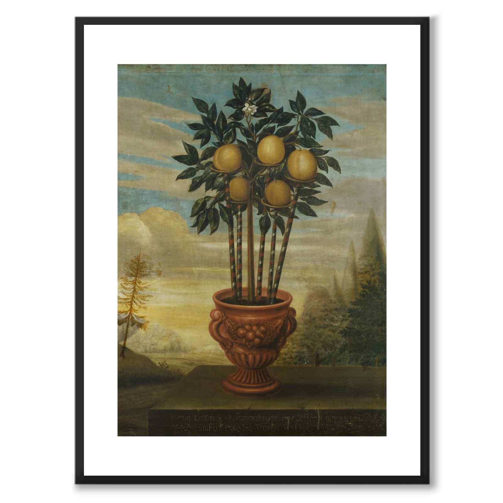 Orange Tree in an Urn as an art poster from Historly – with white border without title