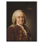 Carl Linnaeus as an art poster from Historly – full image without white border