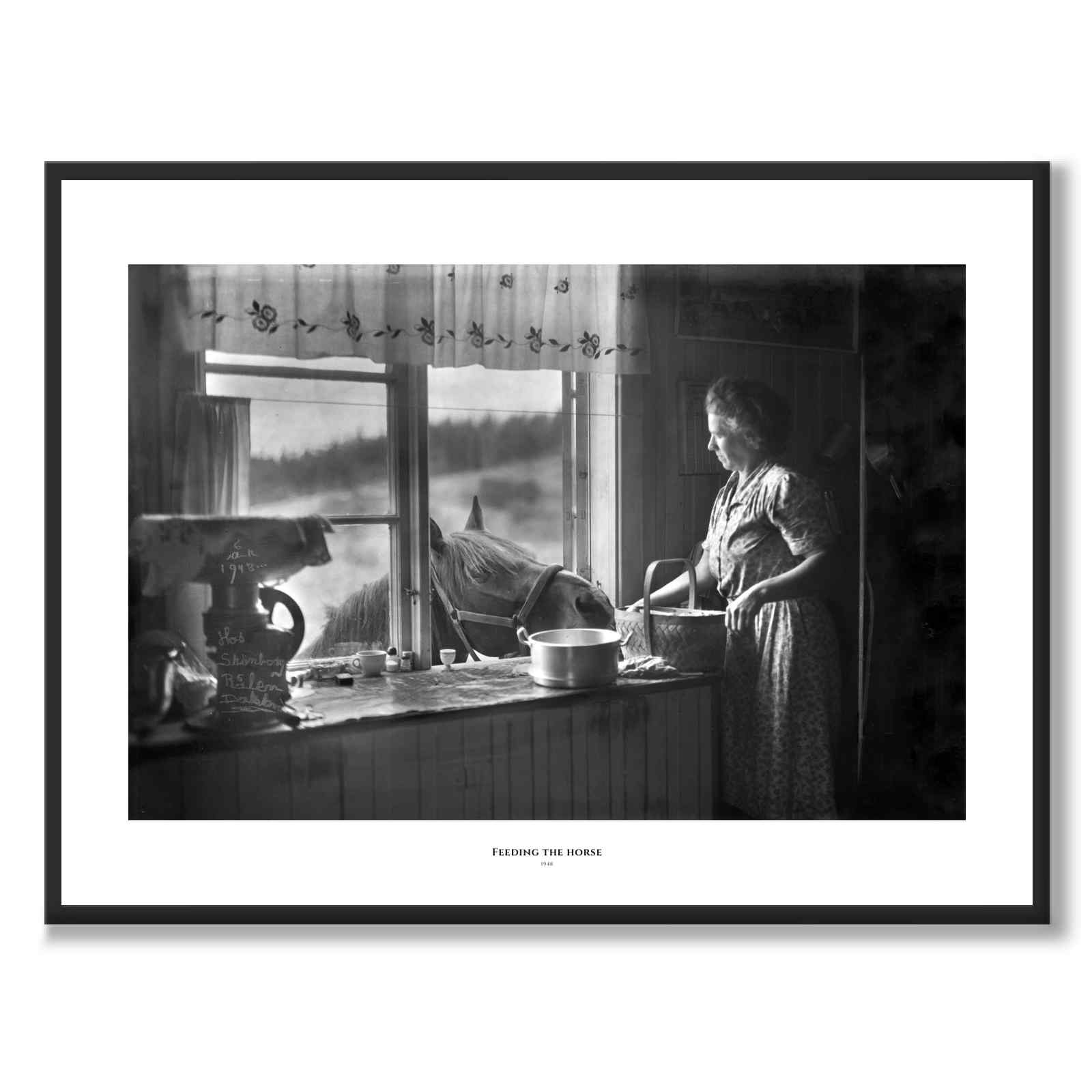 Feeding the Horse som historiskt fotografi och poster från Historly – med vit kant och titel