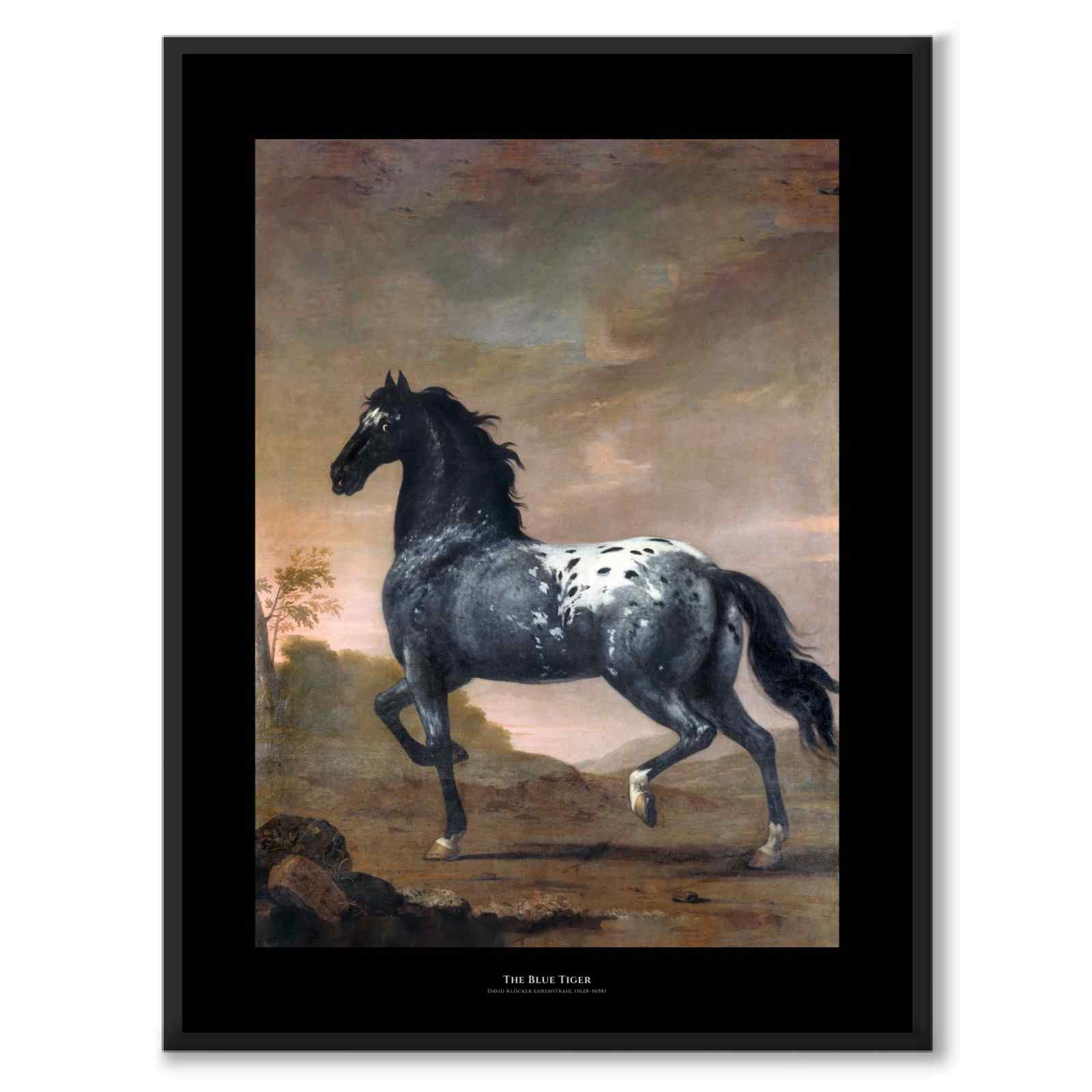 Black Collection - The Blue Tiger som svartvit poster från Historly – med svart bakgrund och titel