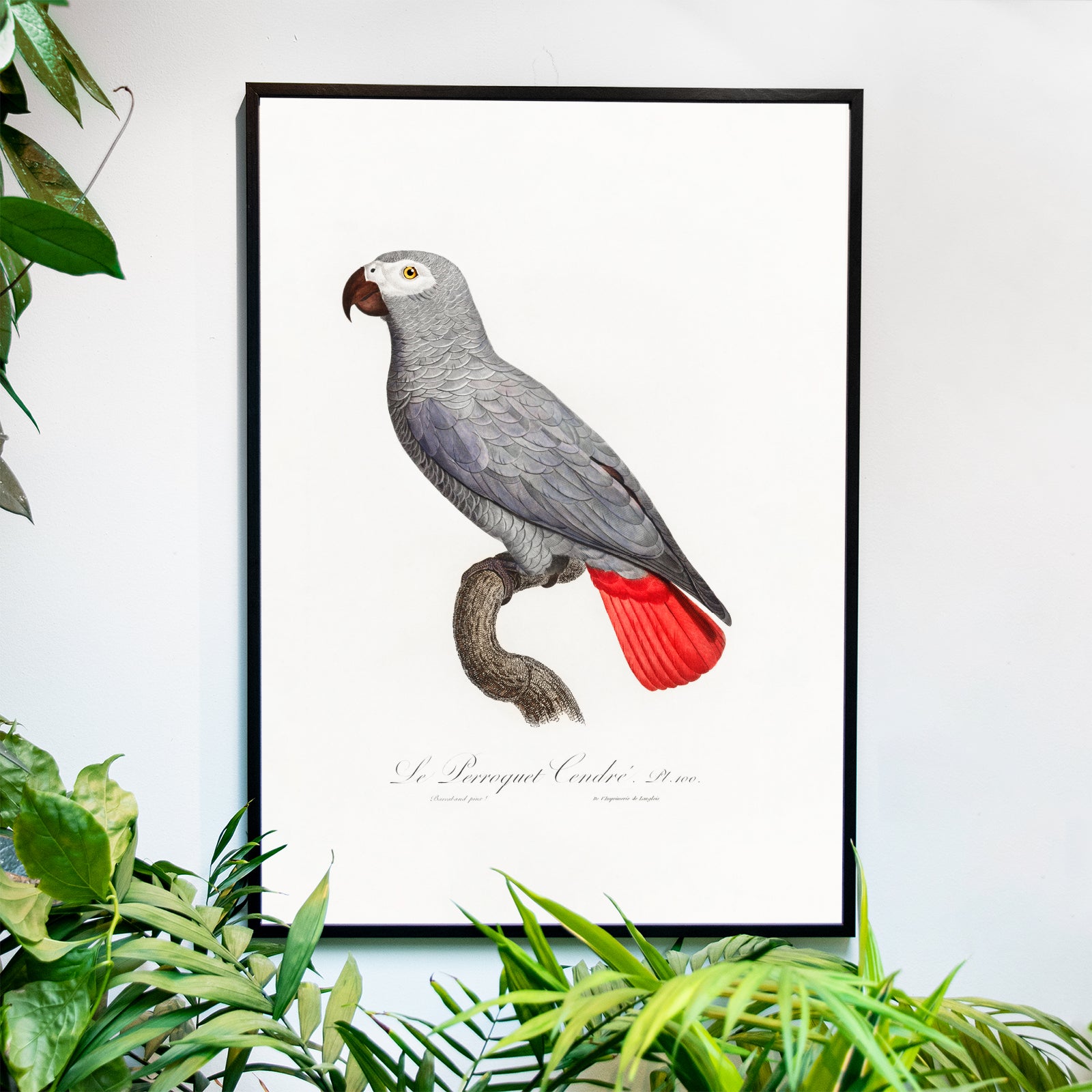 The Grey Parrot som väggkonst i inspirerande inredningsmiljö
