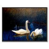 Swans in Reeds av Bruno Liljefors som konstposter från Historly – helbild utan vit kant
