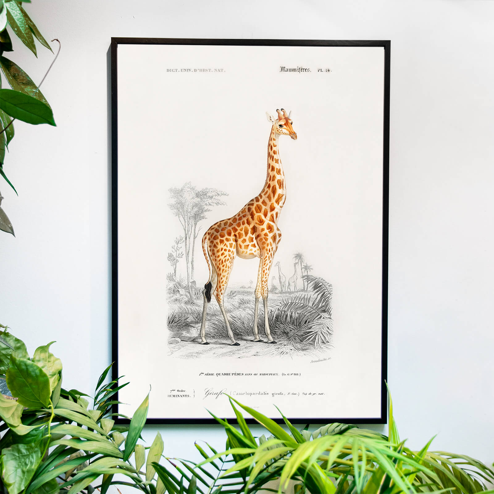 Giraffe som väggkonst i inspirerande inredningsmiljö