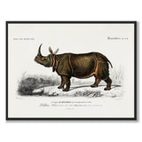 Rhinoceros som vintage zoologisk illustration och poster från Historly – bild 1