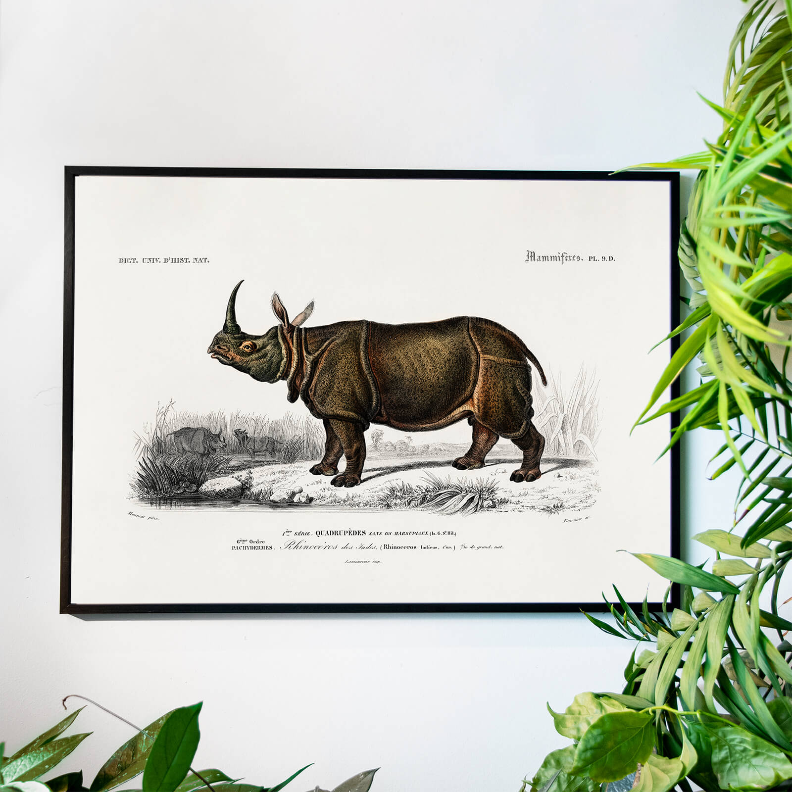 Rhinoceros som väggkonst i inspirerande inredningsmiljö